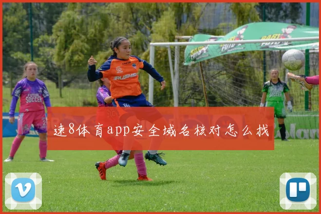 速8体育app安全域名核对怎么找
