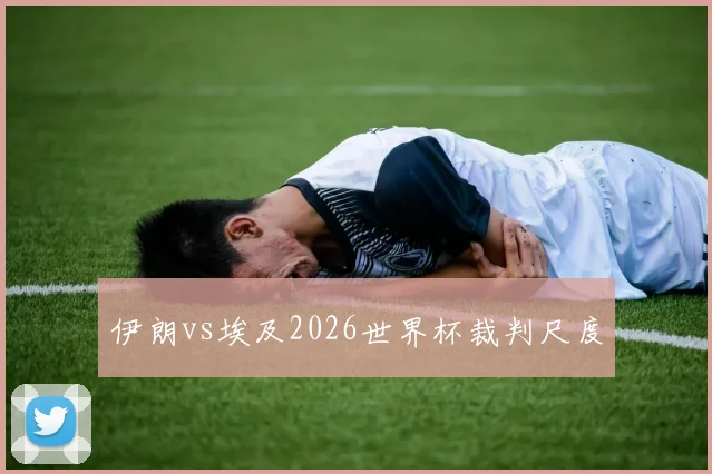 伊朗vs埃及2026世界杯裁判尺度