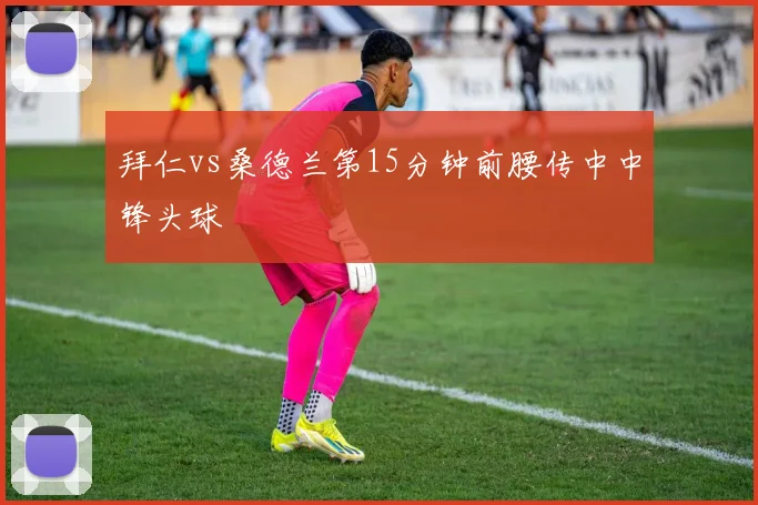 拜仁vs桑德兰第15分钟前腰传中中锋头球