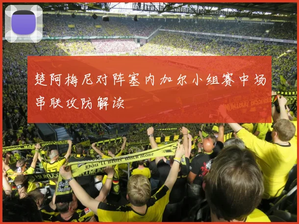 楚阿梅尼对阵塞内加尔小组赛中场串联攻防解读