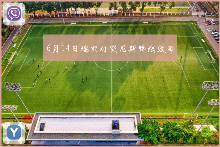 6月14日瑞典对突尼斯锋线效率