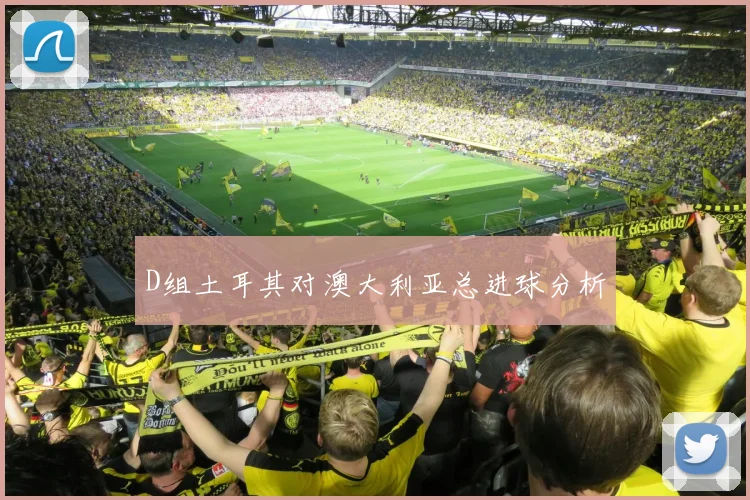 D组土耳其对澳大利亚总进球分析