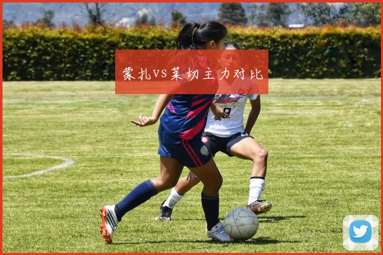 蒙扎vs莱切主力对比