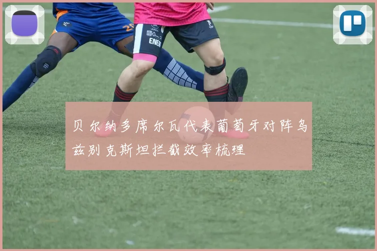 贝尔纳多席尔瓦代表葡萄牙对阵乌兹别克斯坦拦截效率梳理